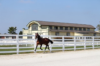 Yearling Barn